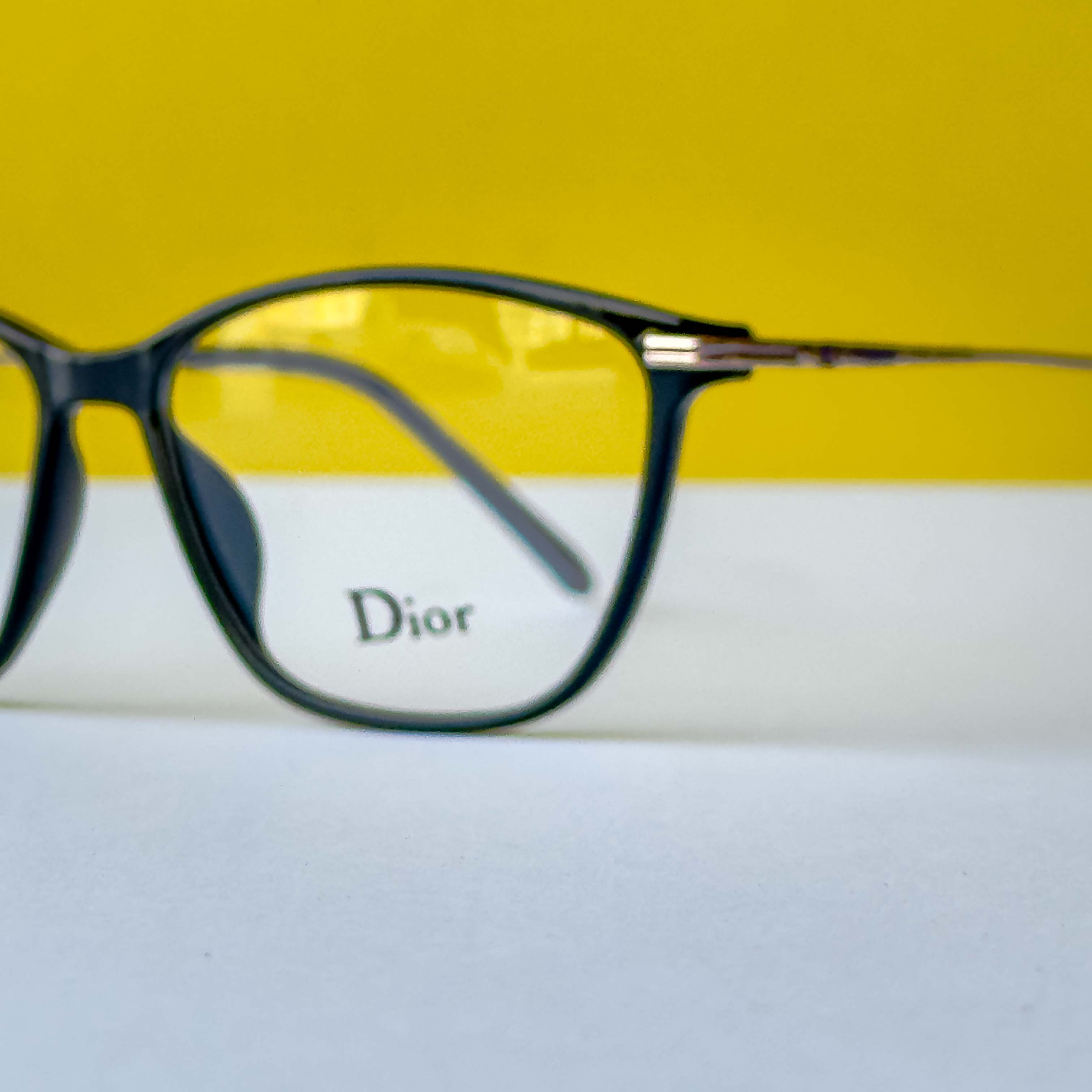 DIOR 1013